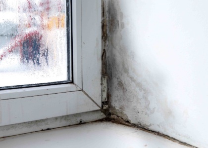 30,000 homes hit by defective insulation as MPs call for fraud investigation