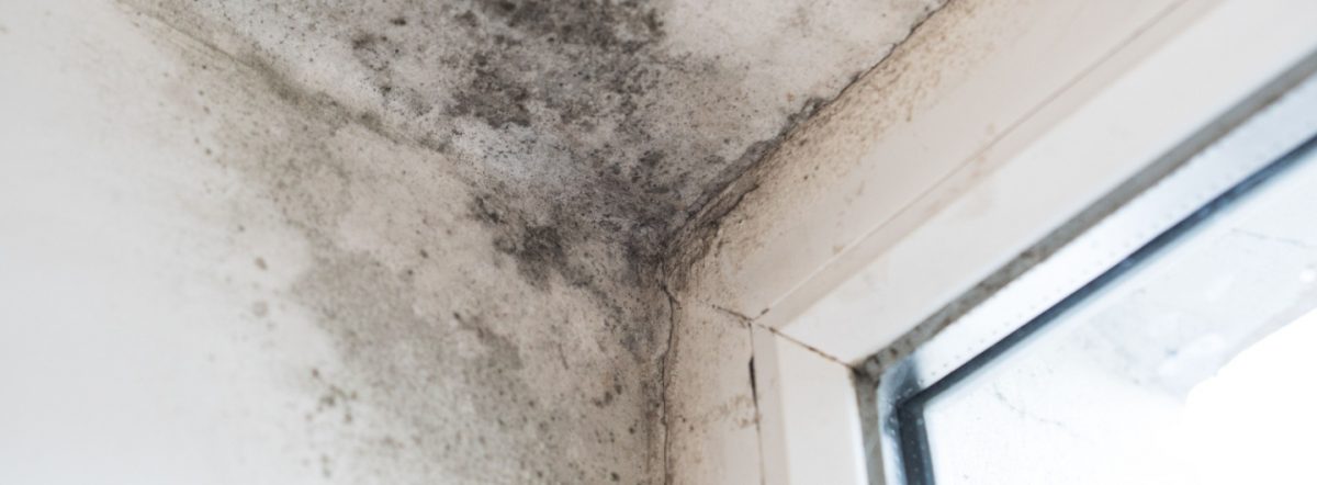 Millions to spend a fourth winter in cold damp homes